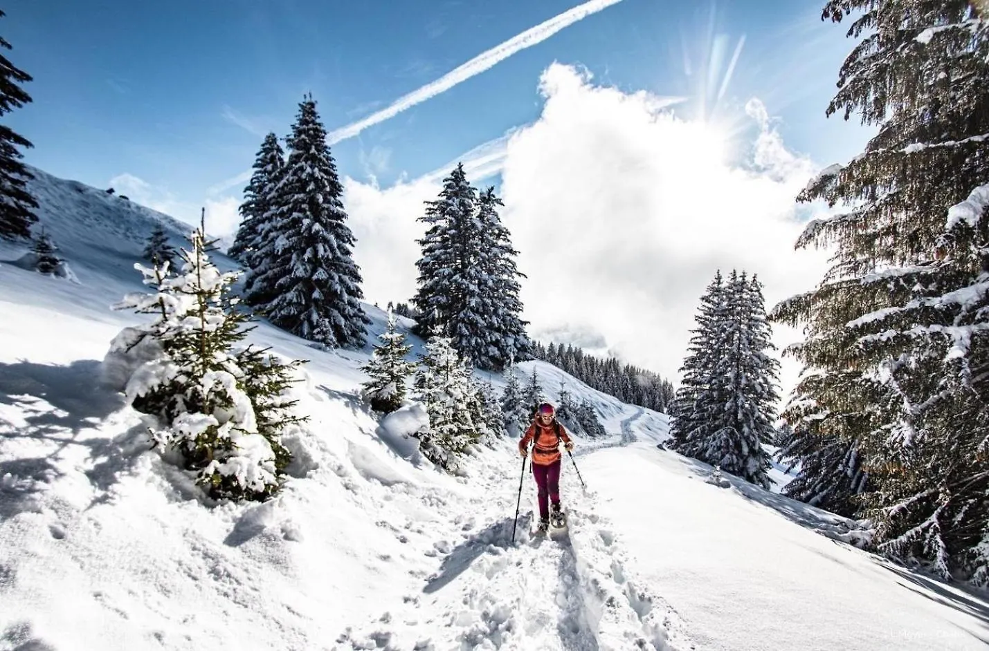 Alpenlake Ap139 View & Nature 6 Pers Chatel Apartment