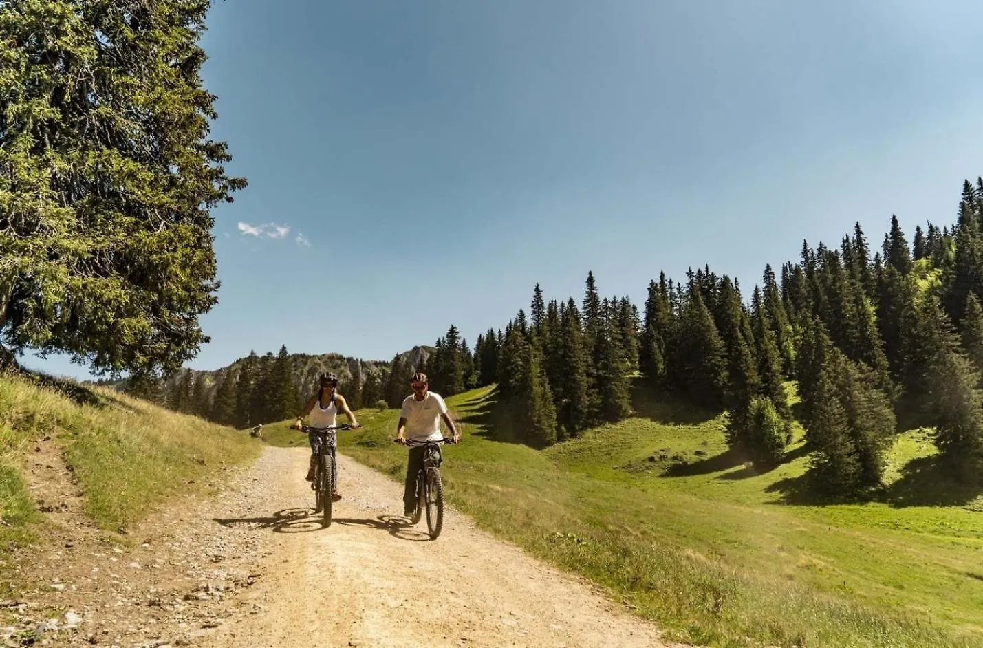 Alpenlake Ap139 View & Nature 6 Pers Chatel